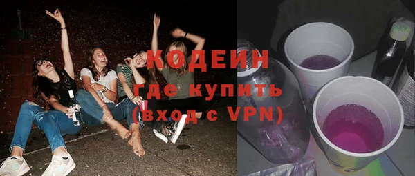 гашик Козловка