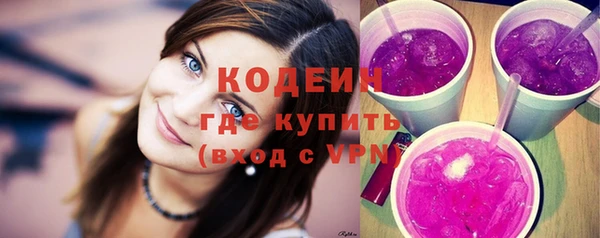 гашик Козловка