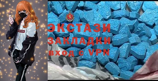 гашик Козловка