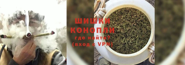 гашик Козловка