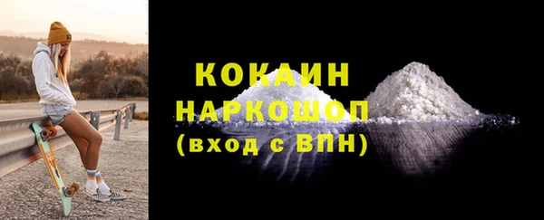 гашик Козловка