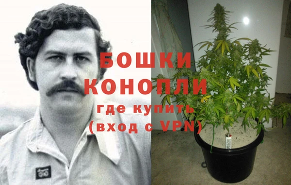 прущая мука Корсаков