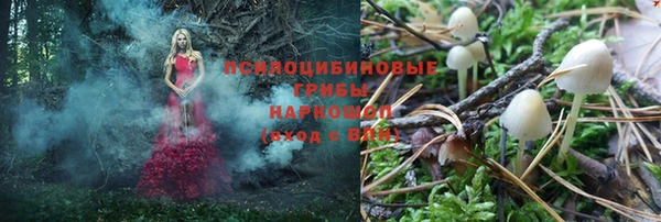 прущая мука Корсаков