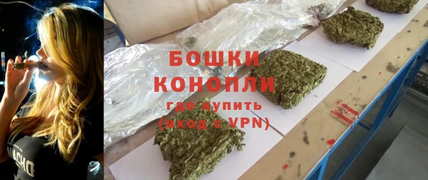 гашик Козловка