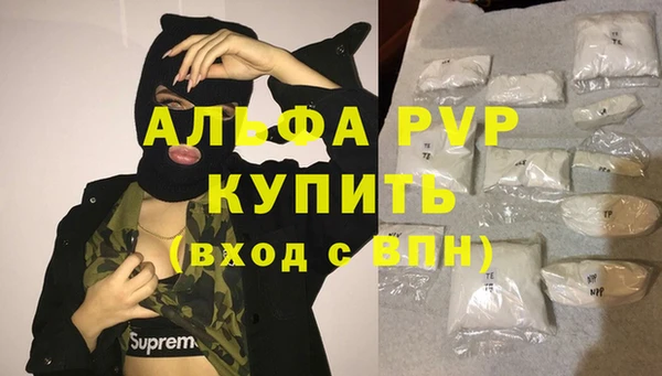 гашик Козловка