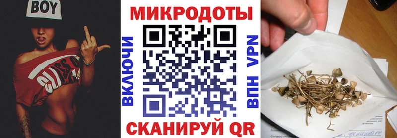 маркетплейс формула  что такое наркотик  Козловка  Галлюциногенные грибы мицелий 
